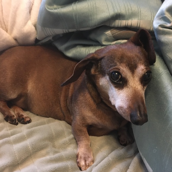 Bundle Up! - Picture 3 of 8